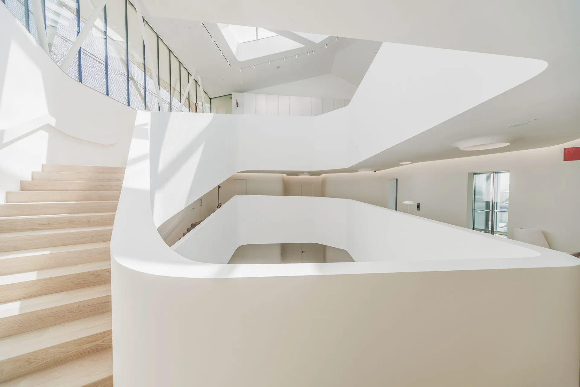 sound-absorbing-panels-cia-conad-headquarters-1